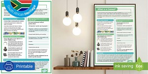 What is a Census? Infographic