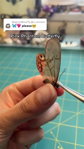 Pink Phantom Butterfly - Beautiful Clearwing Butterflies of Central and South America