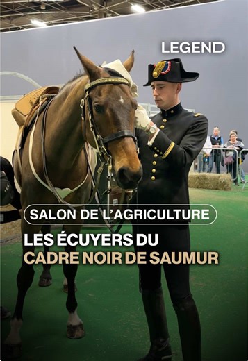 Nous sommes allés à la rencontre du colonel Thibaut Vallette, écuyer en chef du Cadre noir de Saumur, ainsi que de Cédric, l’un des soigneurs. Créé après les guerres napoléoniennes, il constitue aujourd’hui une véritable institution de l’équitation de tradition française. LEGEND est le partenaire officiel du Salon International de l'Agriculture qui se tient à la Porte de Versailles jusqu'au 1er mars. #legend #legendmedia