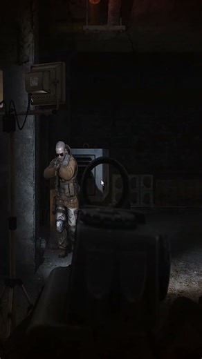 Cat in Tarkov? #escapefromtarkov #gaming #eftpvp #funnygaming