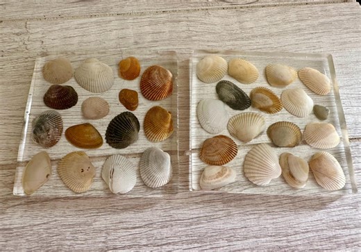 2 Square Shell Coasters - Etsy