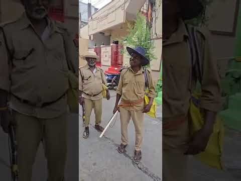 #pittaladora #dasaravideos