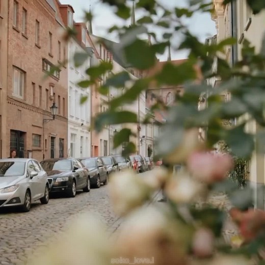 Soko Wismar: Staffel 22 Highlights and Moments