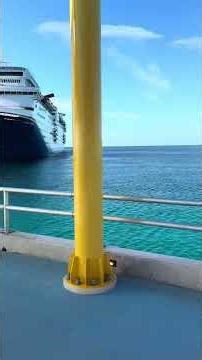 This ETF funded my entire cruise #money #investing #shorts