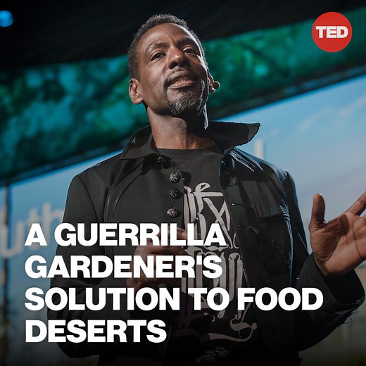 1.2M views · 44K reactions | This gardener plants vegetable patches...