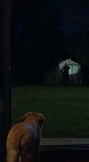 **I CAUGHT A COP SNOOPING IN MY BACKYARD—BUT HE WASN’T THERE ON DUTY** I thought someone was robbing my shed—then I saw the flashlight and the uniform. But no cruiser. It was just past 11, and I’d already locked up for the night. My dog, Leo, started growling low, staring out the patio door. I looked, expecting a raccoon or maybe my weird neighbor, but there was a beam of light sweeping across my backyard. Then I saw the silhouette—stocky, buzz cut, wearing a police jacket. No sirens. No headlig