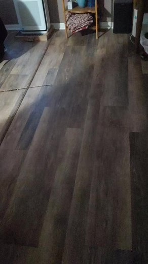 Understanding Possums: Myths and Facts