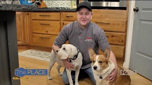 "Pup"cakes Recipe by Smith's Chef Jeff