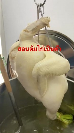 Learn how to boil a whole chicken #Learn how to make Hainanese chicken rice #Steamed chicken rice...