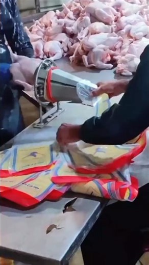 smart technique to quickly put chicken meat into plastic