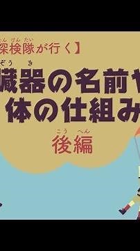【小6 理科】臓器の名前や体の仕組み 探検隊が行く 後編