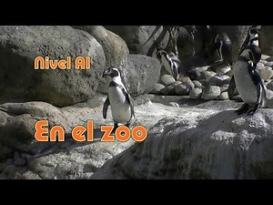 Animales en el Zoo