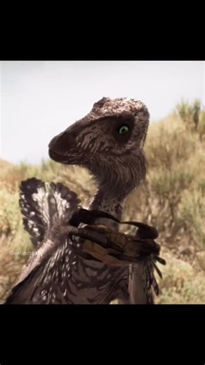 Extinct Era on Instagram: "Cedarosaurus was a large sauropod from the Early Cretaceous of Utah, USA, known from the Yellow Cat Member of the Cedar Mountain Formation. It was described from a partial skeleton recovered from that unit, and like other sauropods it would have needed vast amounts of plant food to support its size. Utahraptor was a very large dromaeosaurid from the same Cedar Mountain Formation, also reported from the Yellow Cat Member. That makes overlap plausible, even though fossil