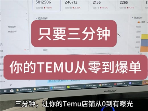 三分钟让你的temu从0到1