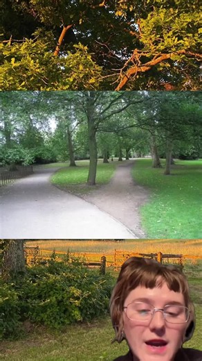 😱 BREAKING: City planners WAIT for humans to carve desire paths before building sidewalks—this SHOCKING trick reveals our TRUE instincts! 🔥#desirepath #urbanplanning #psychology #fyp #viral