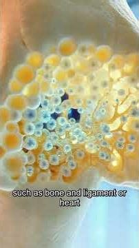 Biology News 9-2-2025