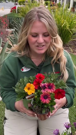 28K views · 94 reactions |  5 benefits of standard tree roses - and...