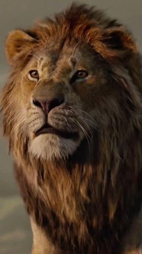 The Lion King Family Tree Edit 🦁👑