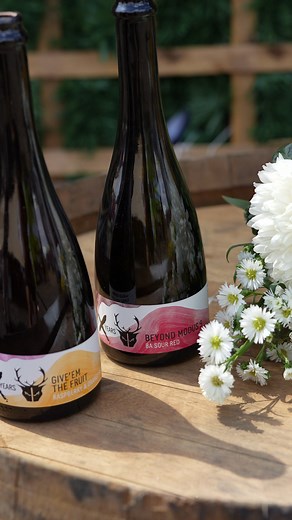 Right now, we're going wild and giving you 10% all of our beers on the website. Just enter SAVE10 at checkout! | Wild Beer Co.