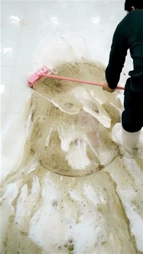 How To Clean Your Carpet: 8 Tips From A Carpet Cleaner