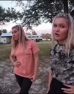 Budget .22LR ammo put to the test