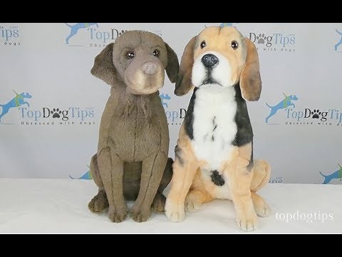 Petsies Custom Stuffed Animals Review