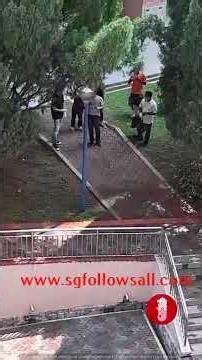 NEA culling pigeons by poisoning them