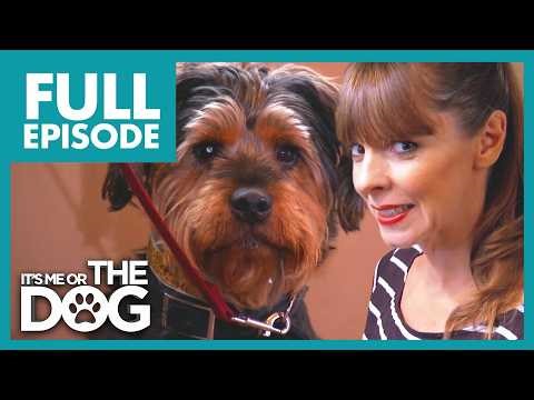 Calamitous Canines | Season 2 Episode 12 | It's Me Or The Dog US