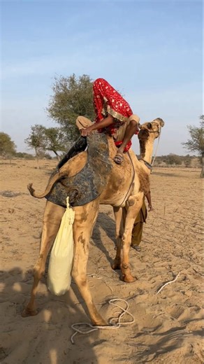 #trickshots#اكسبلور#funny#tricks