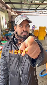 홍가리비 수확하고 왔습니다. 디지는줄 ㅜㅜ