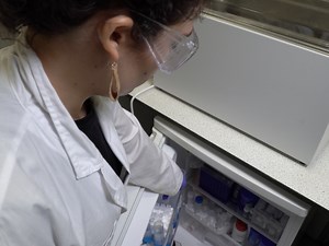 Preparation of Functional Silica Using a Bioinspired Method