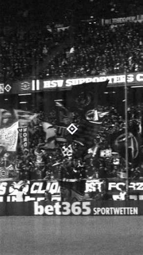 Shine Bright: HSV's Journey in the Bundesliga
