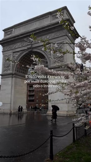 Café Entretenimento19 | “Isso não é sobre as estações” . . . . . . . #viralizou #viral #videos #fy #frases #pessoas #recomeco #recomecar #otimista... | Instagram