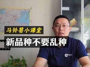 马铃薯新品种选择要谨慎！#马铃薯 #马铃薯种植 #农业技术