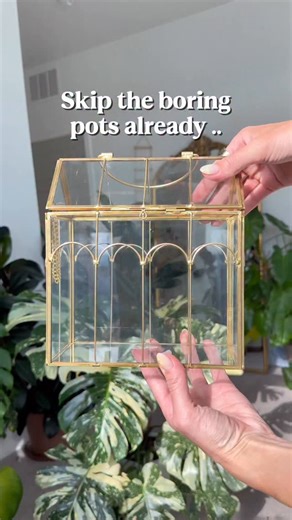 I think I’m allergic to boring plants pots 😜 Comment HOUSE & I’ll send you the details to this little greenhouse You can plant cuttings OR plants directly inside. I’m keeping the lid closed until they root then I’ll open it up & let them grow. This plant is a Hoya Compacta & it grows these beautiful twisty leaves to make it look like a rope. Everything I’m using 👇 Leca balls as the base for better drainage (I got these from IKEA) Soil mix by @solsoils (code “Mariahgrows10’ for 10% off) Rooting
