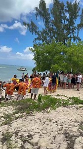 Rolo Boat Trips on Reels