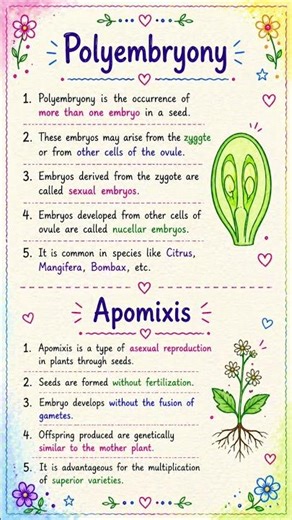 2nd PUC biology 1st chapter sexual reproduction in flowering plant polyembryony and apomixis