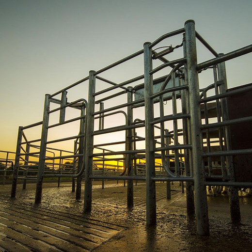 Easy Draft - Easy Dairy Automation Systems