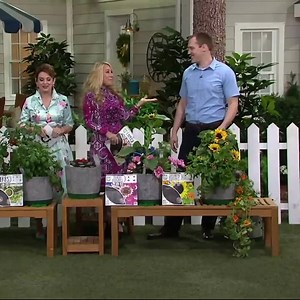 1M views · 1.5K reactions | Seedsheets is the easiest & fastest way to grow your own herb garden at home! Grow 6 Organic Herbs: Basil, Cilantro, Parsley, Dill, Onion Greens and Sorrel. "It even sends you reminders for watering and replanting!" - Erin If you're missing your green thumb, SeedSheets has got you covered! It's so easy, anyone can do it! Try it today >> | We Love To Garden | Facebook