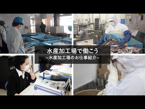 水産加工場で働こう～水産加工場のお仕事紹介～