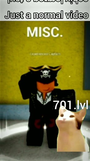 video vs script... #roblox #bloxfurit #cat