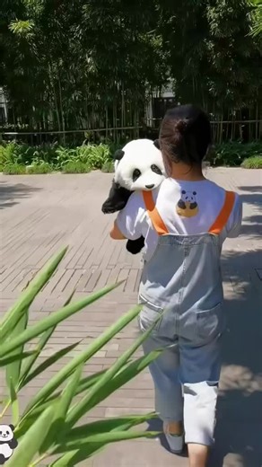 Funny Panda Moments That Will Make You Laugh