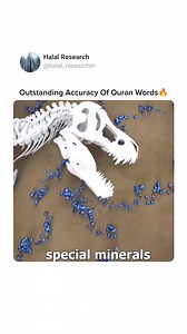 21K views · 804 reactions | Bones into Iron fossils: These fossils are formed when the bones are replaced by Iron pyrite or other Iron ores; it forms bones-shaped Iron. This process is called Pyritization, The mineral iron pyrite is an iron sulfide with the formula FeS2. So it is clear that bones are preserved for millions of years when it is replaced by minerals like calcite and silica forming a IRON model. Visit Profile For more miracles of Quran | Halal Research | Facebook
