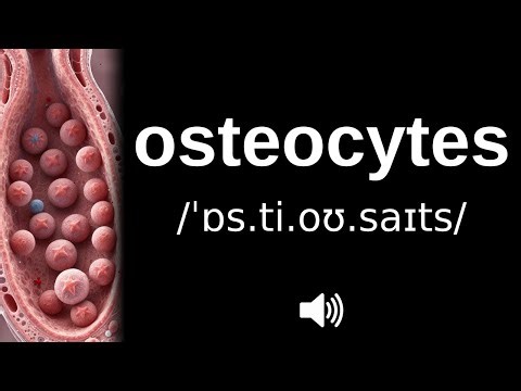 How to pronounce osteocytes (CORRECTLY!)