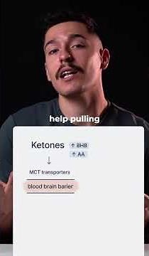 ⚡️ What happens in the brain when you enter ketosis