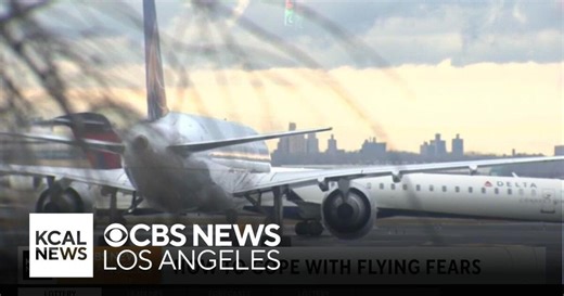 Pilot and psychotherapist discusses how to cope with flying fears