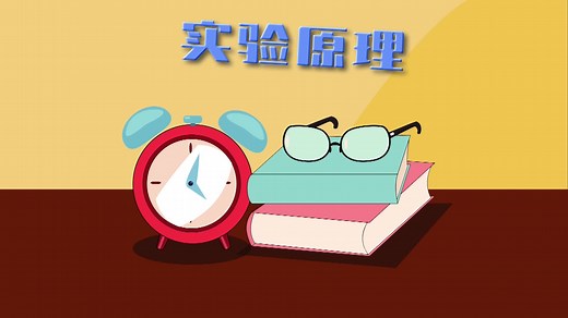 杆秤实验原理（动画版）#日常自拍