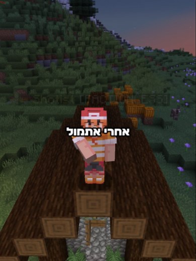 איך להיכנס לשרת הפוקימון במיינקראפט שלי מפרוץ!!! #פוריו #גיימינג #מיינקראפט #שרתמיינקראפט #פוריוישראל #minecraft #fyp