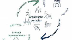Adaptive Behaviour & Cognition