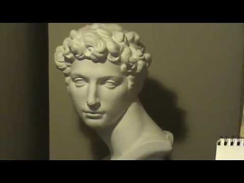 how to draw 039 plaster cast drawing